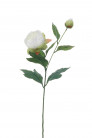 PIVOINE