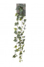 LIERRE GRLDE 80CM VERDE