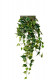 FEUILLE DE VIGNES 60CM BICOLOR