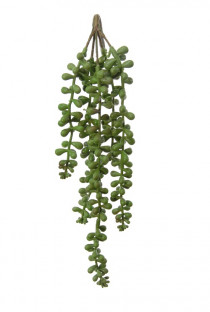 SENECIO CHUTE 34 CM VERT