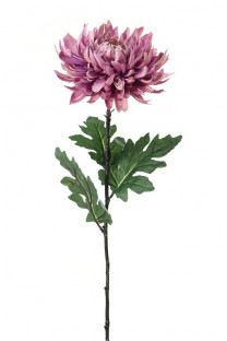 CHRYSANT 82CM MAUVE
