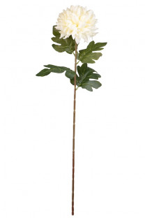 CHRYSANTHÈME 75CM BLANC