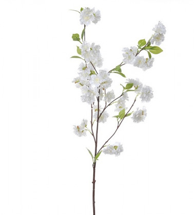 CÉRISIER 88CM BLANCO