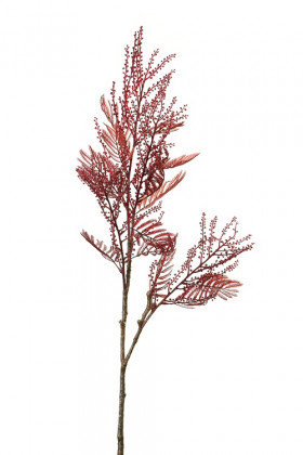 HOJA MIMOSA 88CM BURDEOS