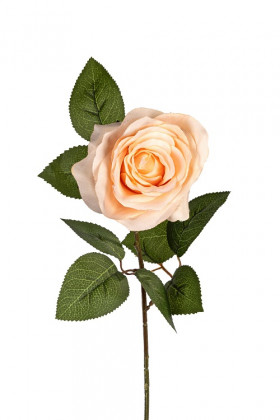 ROSE 66CM SAUMON