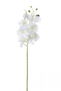 PHALAENOPSIS 80CM BLANCO