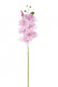 PHALAENOPSIS 80CM ROSA