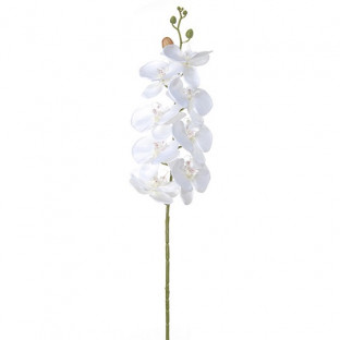 PHALAENOPSIS 90CM BLANCO