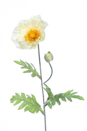 AMAPOLA 74CM CREMA