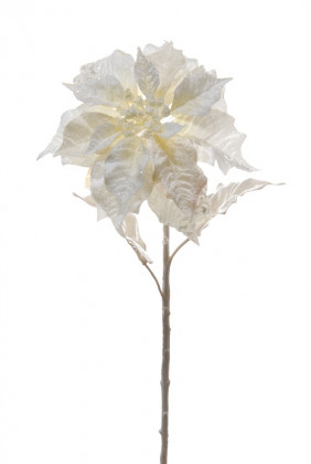 POINSETTIA 78CM BLANCO