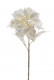 POINSETTIA 78CM BLANCO
