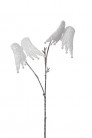 AILE X2 61CM WHITE