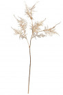 ASPARAGUS 70CM. ORO
