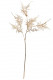 ASPARAGUS 70CM. ORO
