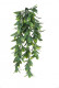 LAURIER CHUTE 45CM VERT