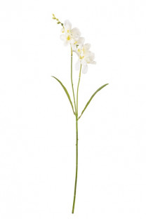 FREESIA 65CM BLANCA