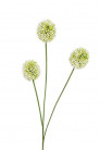 ALLIUM 80CM BLANCO