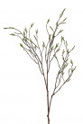ABEDUL RAMA 103CM VERDE