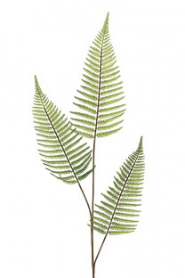 HELECHO 80CM VERDE