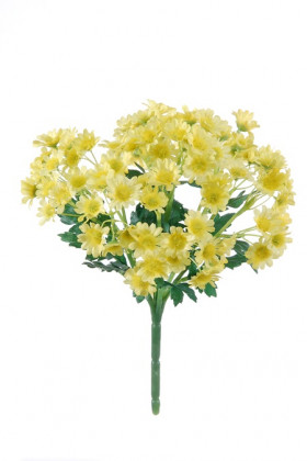 CAMOMILLE X7 20CM