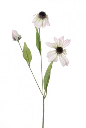 RUDBECKIA 48CM ROSE