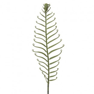 FEUILLE FOUGÈRE 50CM VERT