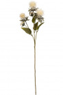 DISTEL X3 155CM CREME
