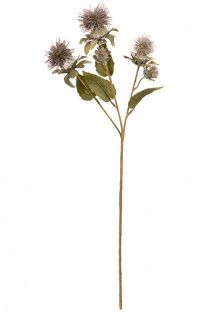 CARTHAMUS X3 155CM LILA