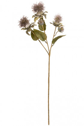 CARTHAMUS X3 155CM LILA