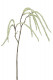SAULE 60CM BLANC/VERT