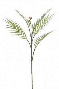 HOJA DE PALMA 80CM VERDE