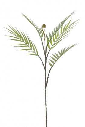 HOJA DE PALMA 80CM VERDE