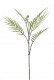 HOJA DE PALMA 80CM VERDE