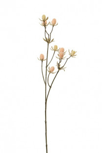 CARDUUS 42CM ROSE