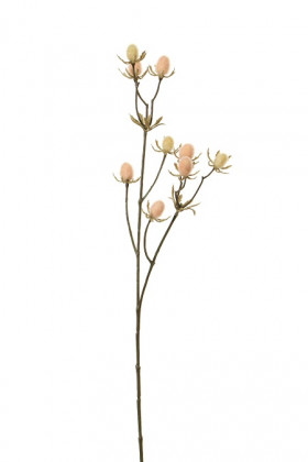 CARDUUS 42CM ROSE
