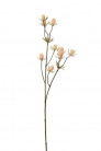CARDUUS 42CM ROSE