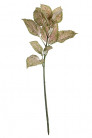 HYPOESTES 57CM VD/ROSA