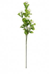 SPIREA 70CM BLANCO