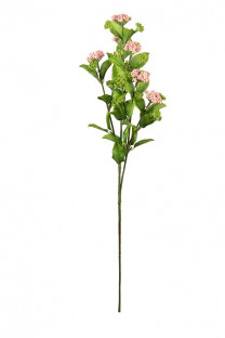 SPIREA 70CM ROSE