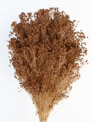 BROOMS MARRON