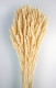TRIGO FLO BLANCO NAT.