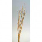 MITSUMATA 120CM ORO