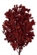 KERQUS PRES. 80 CM MARRON