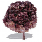 HYDRANGEA PRESERVADA LILA