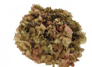 HYDRANGEA PRESERVADA BICOLOR NUDES