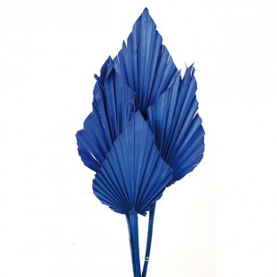 PALMITO EXTRA AZUL