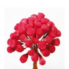 FLOR MINI SHOLA FUCSIA X5 POMOS
