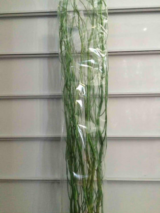 SALIX 140CM VERDE.