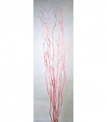 SALIX ROSA 180CM.