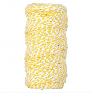 CINTA CORDINO MM2X100MT YELLOW/WHITE